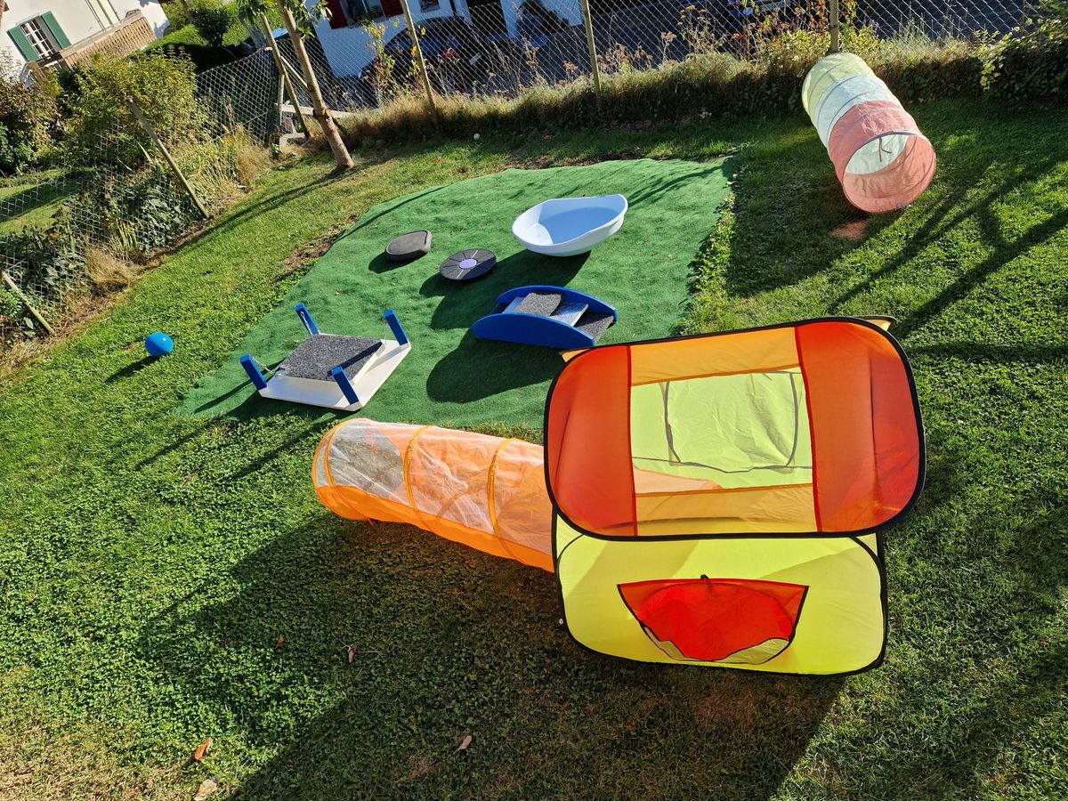 Garden playground with tunnel, pop-up tent and wobble boards for puppies
