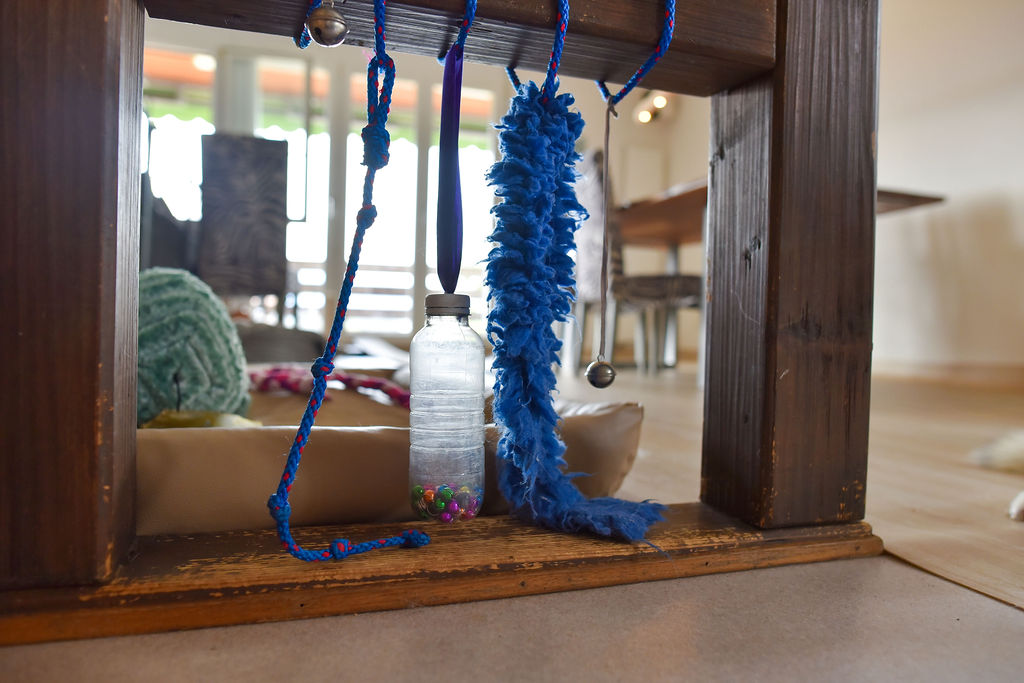 Puppies resting under a play frame hung with ropes and tug toys